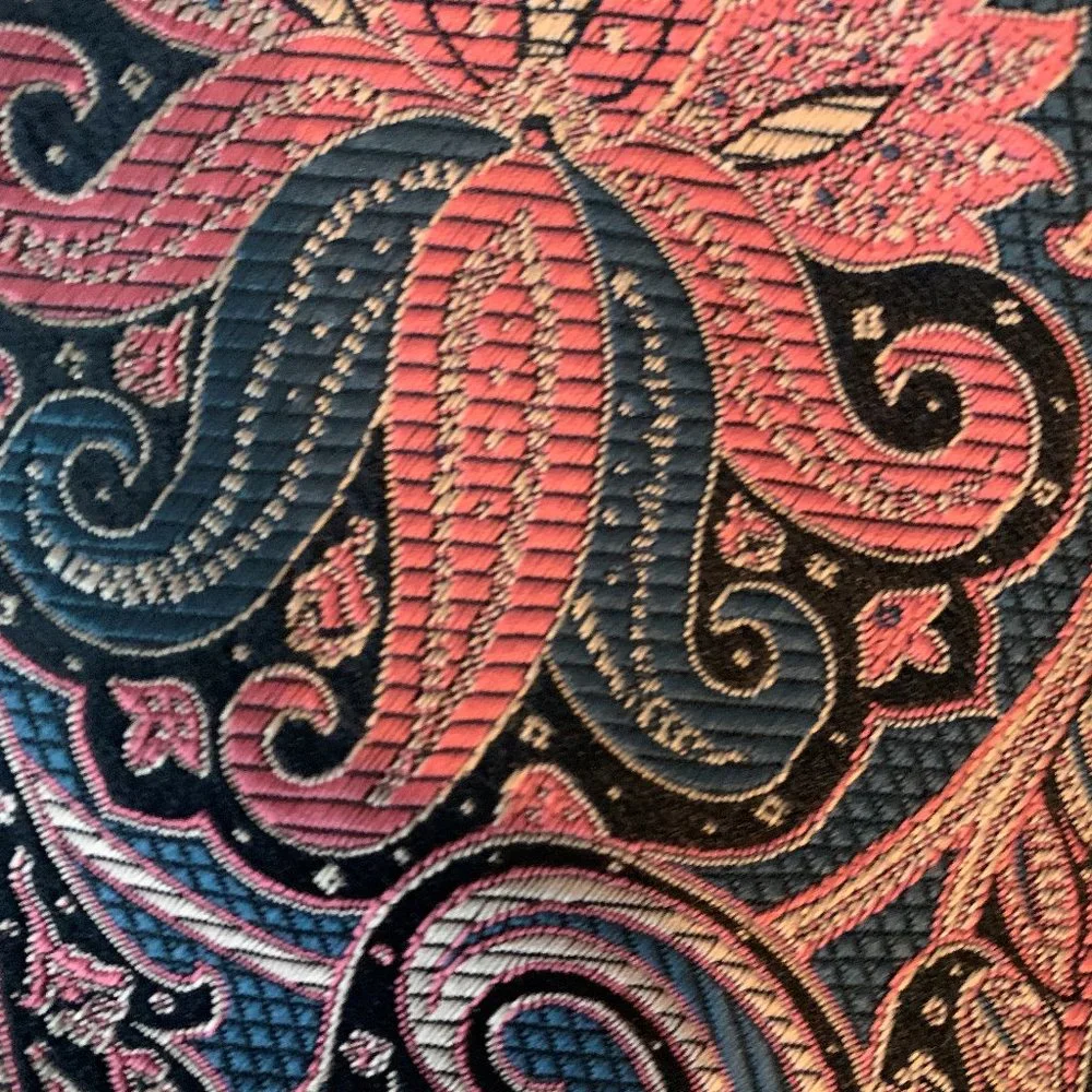 Synrgy stain resistant paisley tie
